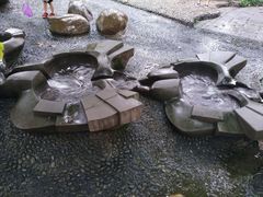 -成都市活水公园
