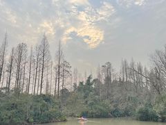-上海滨江森林公园