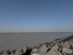 -上海滨江森林公园