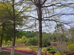 -东莞植物园