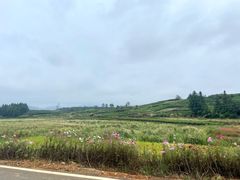 -乌石村