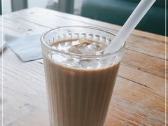 -吉丁鸟咖·异宠·寄养