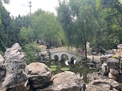 -莲池书院博物馆