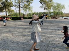 -合肥滨湖国家森林公园