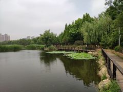 -前关湿地公园