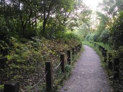 -新江湾城公园