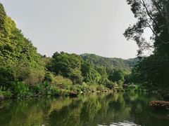 -深圳仙湖植物园