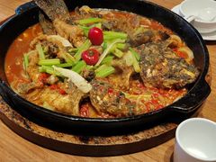 -老板恋上鱼(恒隆广场店)