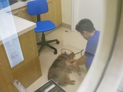 -芭比堂动物医院广州顽皮分院