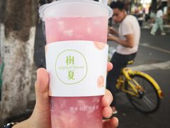 -树夏(建设路店)