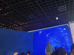-秦皇岛新澳海底世界