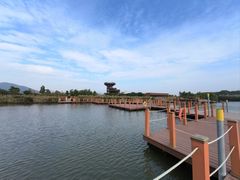 -芒洲湿地公园