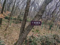 -张鸟园农家乐(张鸟园店)