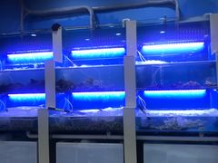 水产区-老虎滩大连海鲜烧烤(建邺云锦路总店)