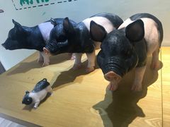 -小稻田辣椒炒肉(大浪商业中心店)