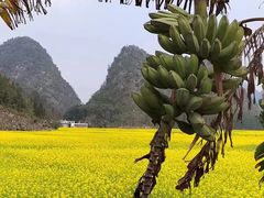 -万峰林风景区