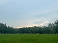 -合肥滨湖国家森林公园