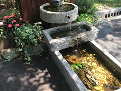 -西郊宾馆·1921餐厅