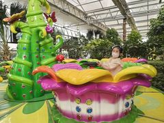 -南宫五洲植物乐园