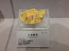 -湖南省地质博物馆