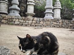 -天津盘山风景名胜区