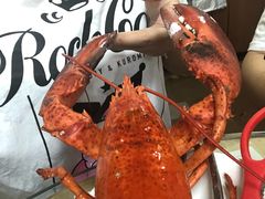 龙虾汤河粉-荔林食店(西华路店)