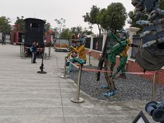 -上海长兴岛郊野公园