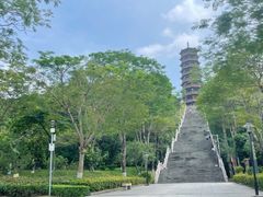 -红花山公园