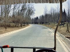 -石家庄市植物园