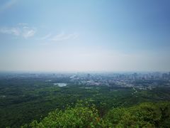 -紫金山天文台