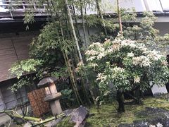 -料亭菊水楼