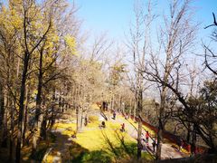 -阳台山自然风景区