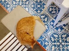 -Tempo Coffee(市二宮店)