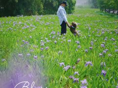 -白鹭湾湿地公园