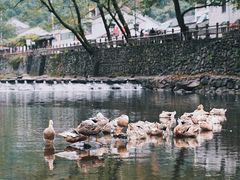 -鹿亭中村