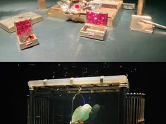 -上海当代艺术博物馆