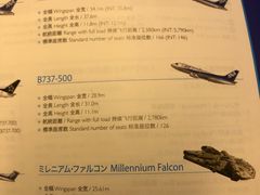 -全日本空输株式会社(上海办事处)