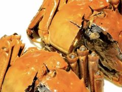 -甄御•海鲜新青岛菜(麦岛店)