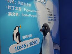 -海合安天津极地海洋公园