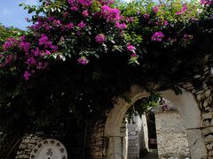 -高荡千年布依古寨旅游景区