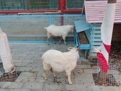 -有喜胶东小馆(太申祥和店)