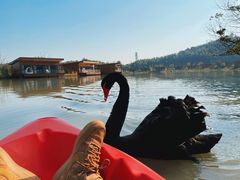 -杭州开元森泊度假乐园