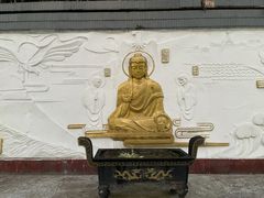 -大金鹰园