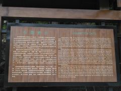 门面-朱雀国家森林公园