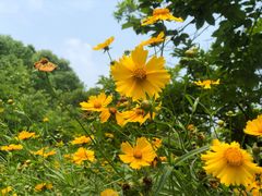 -上海市保健医疗中心