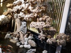 -浣花锦绣(杜甫草堂店)