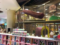 点击看大图 -meland亲子乐园(深圳领展中心城店)