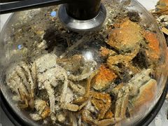 -半岛听涛蒸汽海鲜自助(K11店)