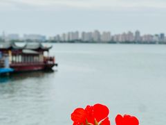 -金鸡湖景区