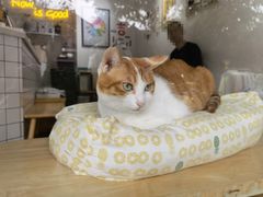 -W Coffee(船板巷店)